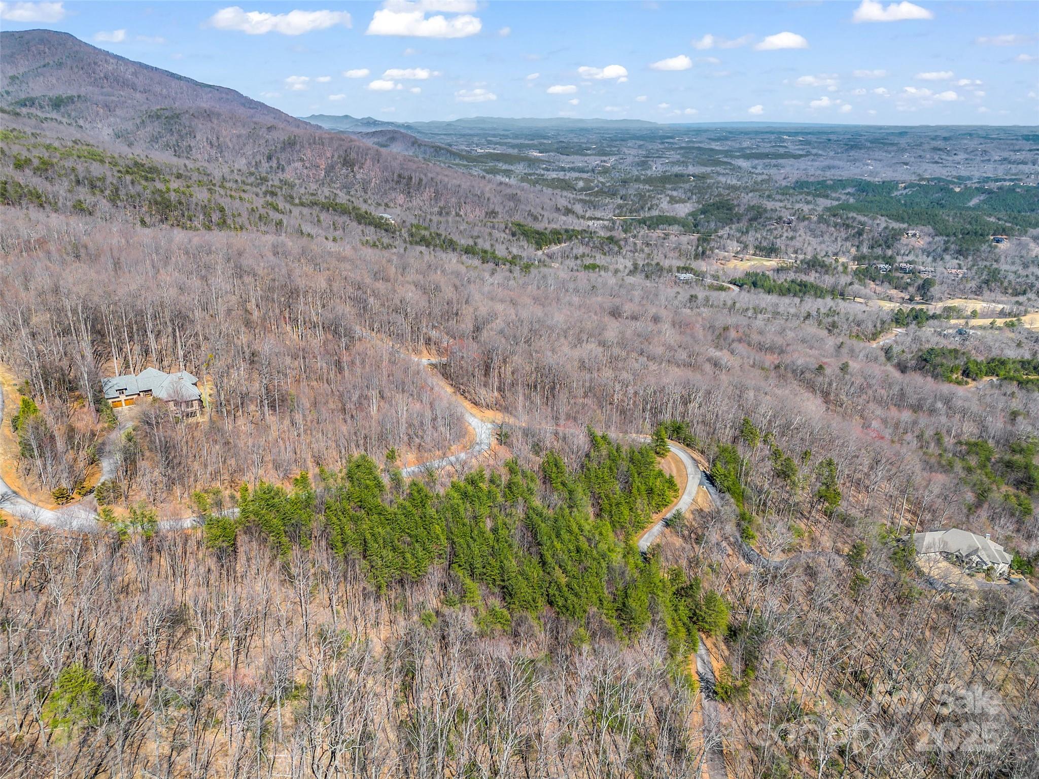190 Cherry Hill, Unit NONE Mill Spring, NC 28756 - Photo 17 of 32 a view of a yard