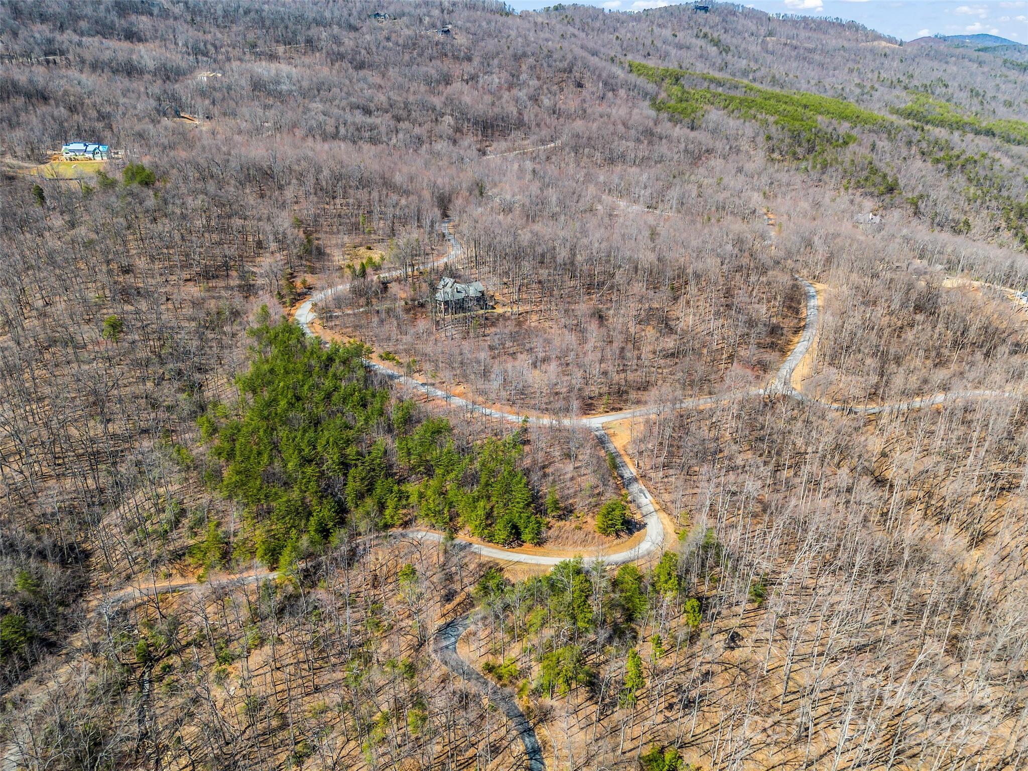 190 Cherry Hill, Unit NONE Mill Spring, NC 28756 - Photo 19 of 32