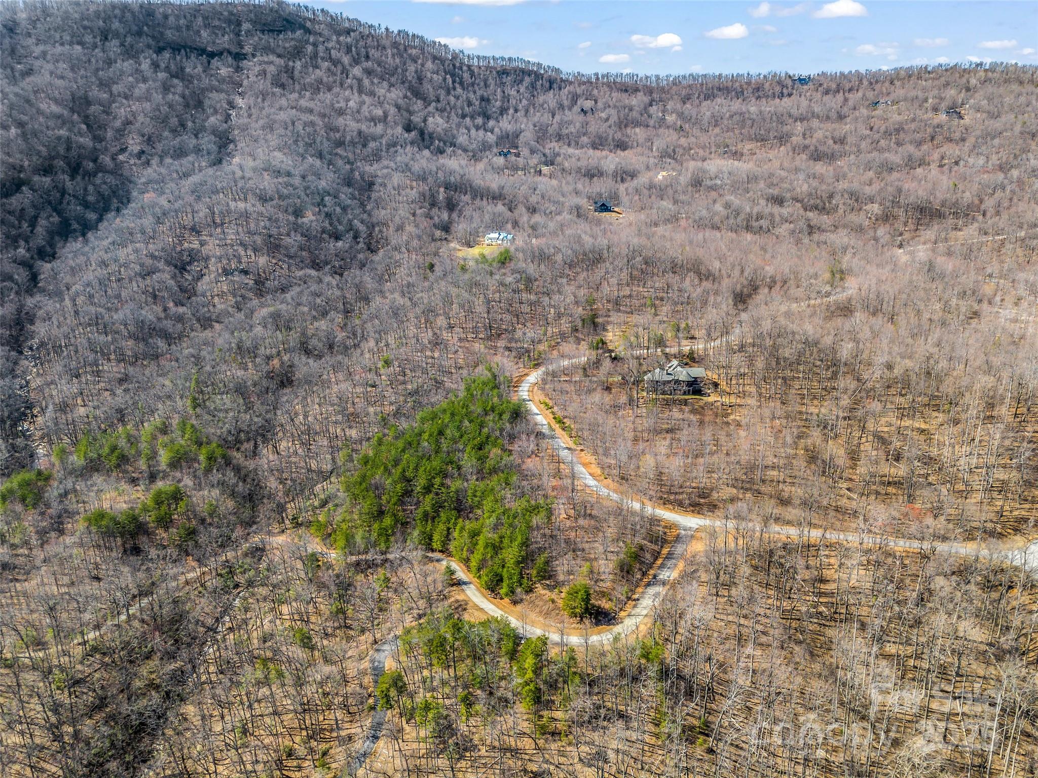 190 Cherry Hill, Unit NONE Mill Spring, NC 28756 - Photo 20 of 32 a view of a dry yard