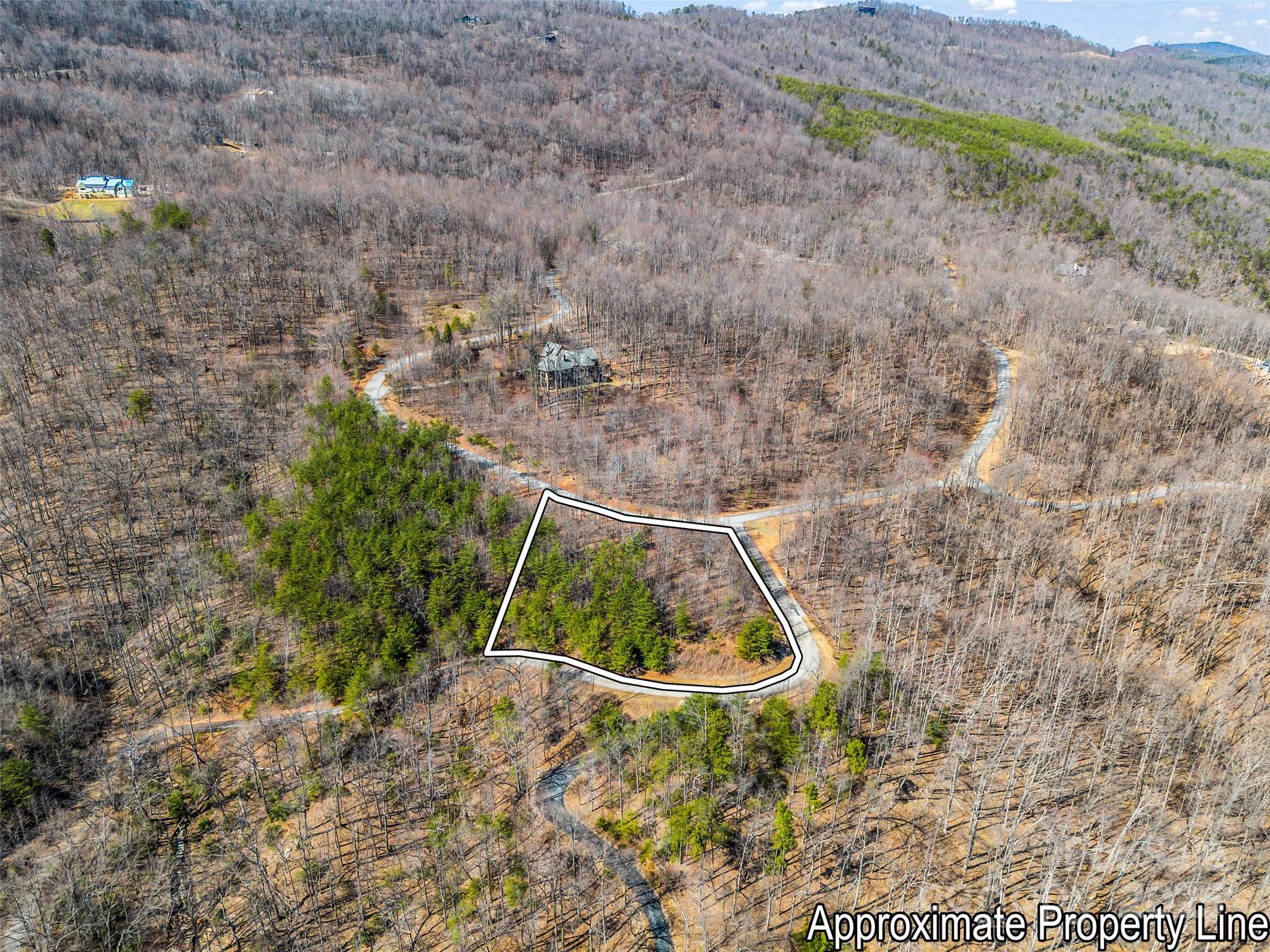 190 Cherry Hill, Unit NONE Mill Spring, NC 28756 - Photo 2 of 32