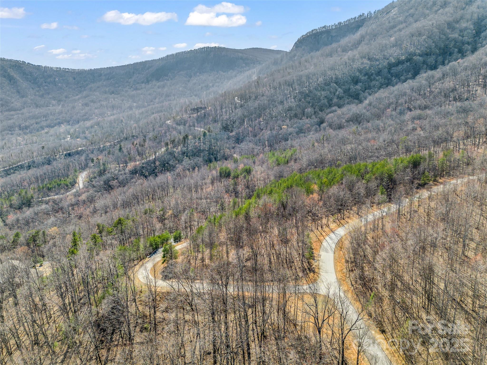 190 Cherry Hill, Unit NONE Mill Spring, NC 28756 - Photo 22 of 32 a view of a yard