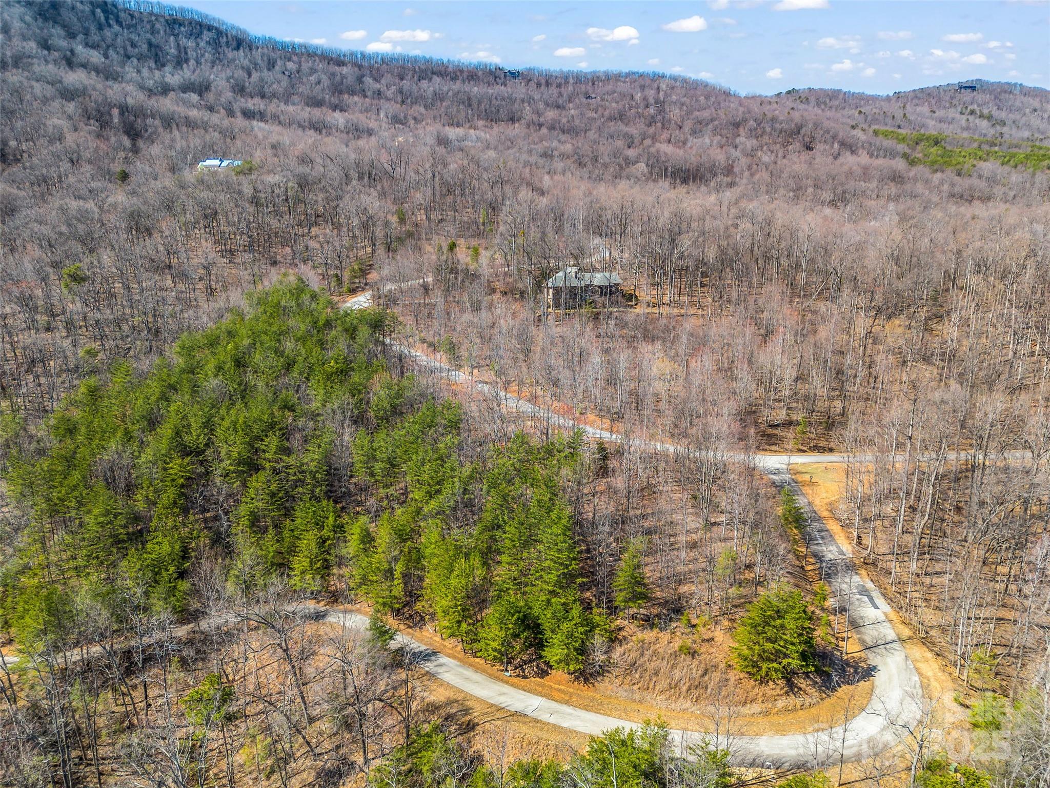 190 Cherry Hill, Unit NONE Mill Spring, NC 28756 - Photo 24 of 32