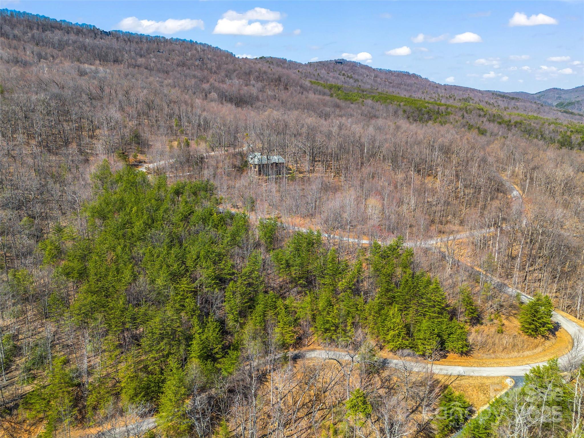 190 Cherry Hill, Unit NONE Mill Spring, NC 28756 - Photo 25 of 32 a view of a lake in middle of the forest