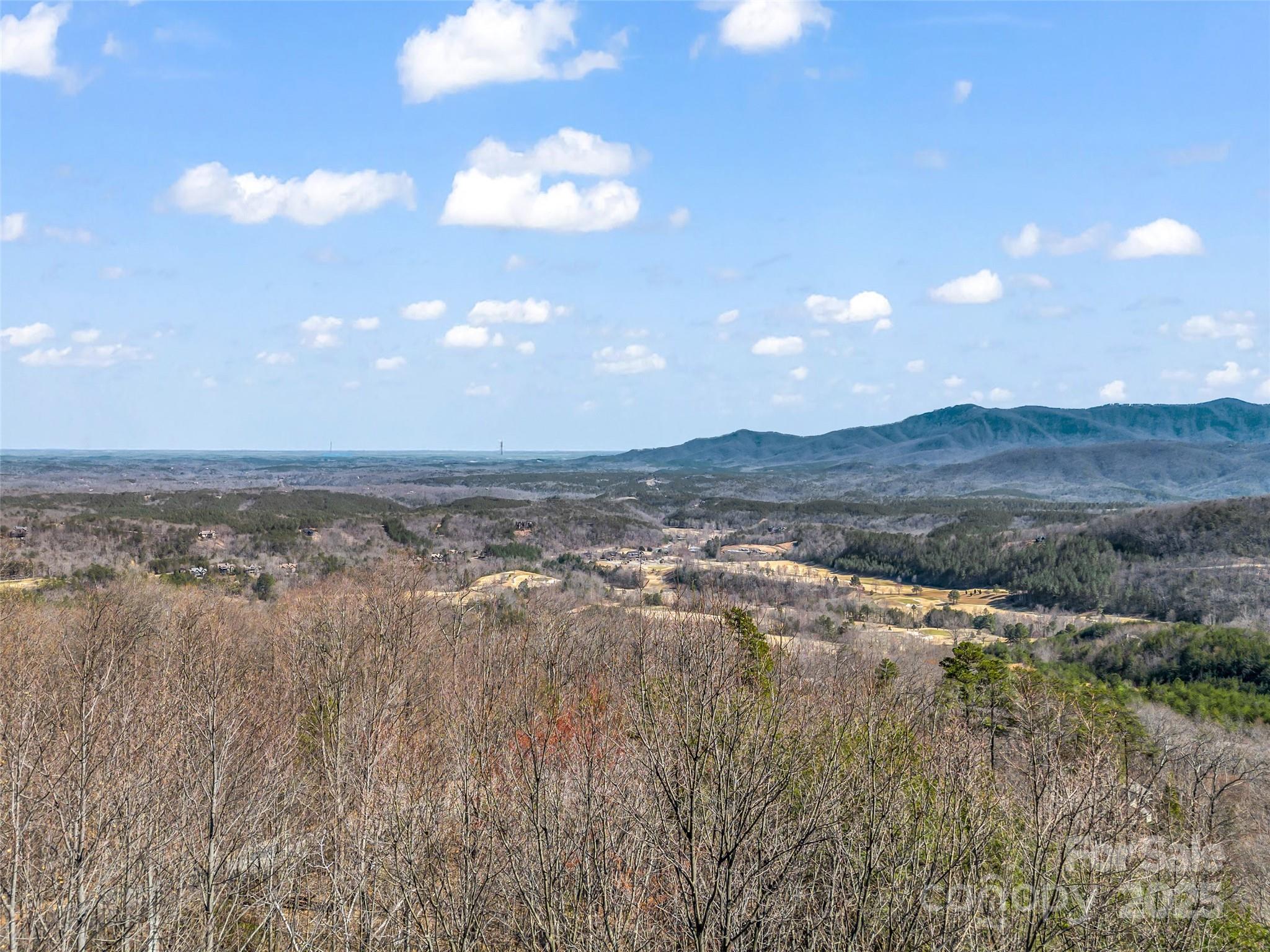190 Cherry Hill, Unit NONE Mill Spring, NC 28756 - Photo 32 of 32 a view of city and mountain