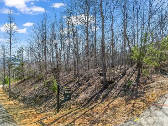 a backyard of a house with large trees