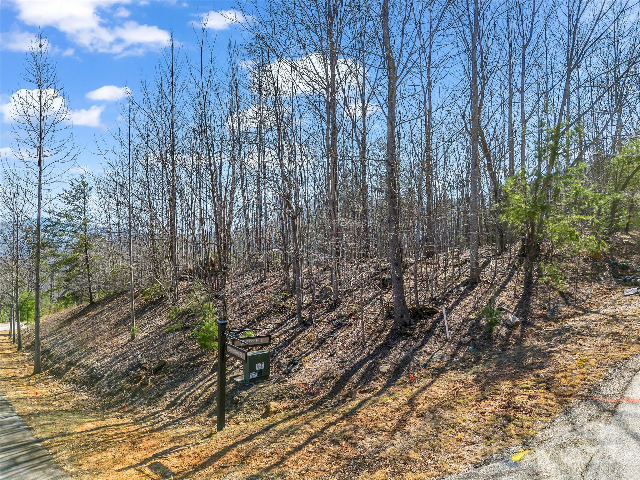 190 Cherry Hill, Unit NONE Mill Spring, NC 28756 - Photo 6 of 32 a view of a yard