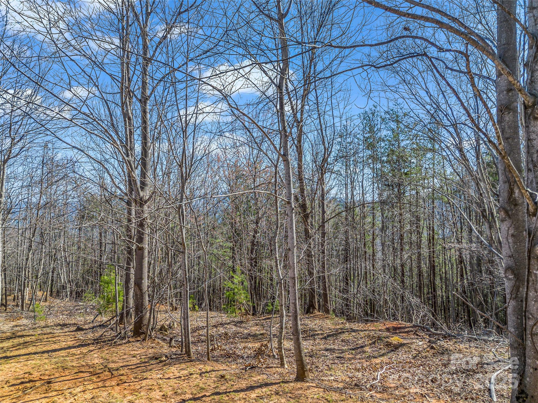 190 Cherry Hill, Unit NONE Mill Spring, NC 28756 - Photo 8 of 32 a backyard of a house with lots of green space