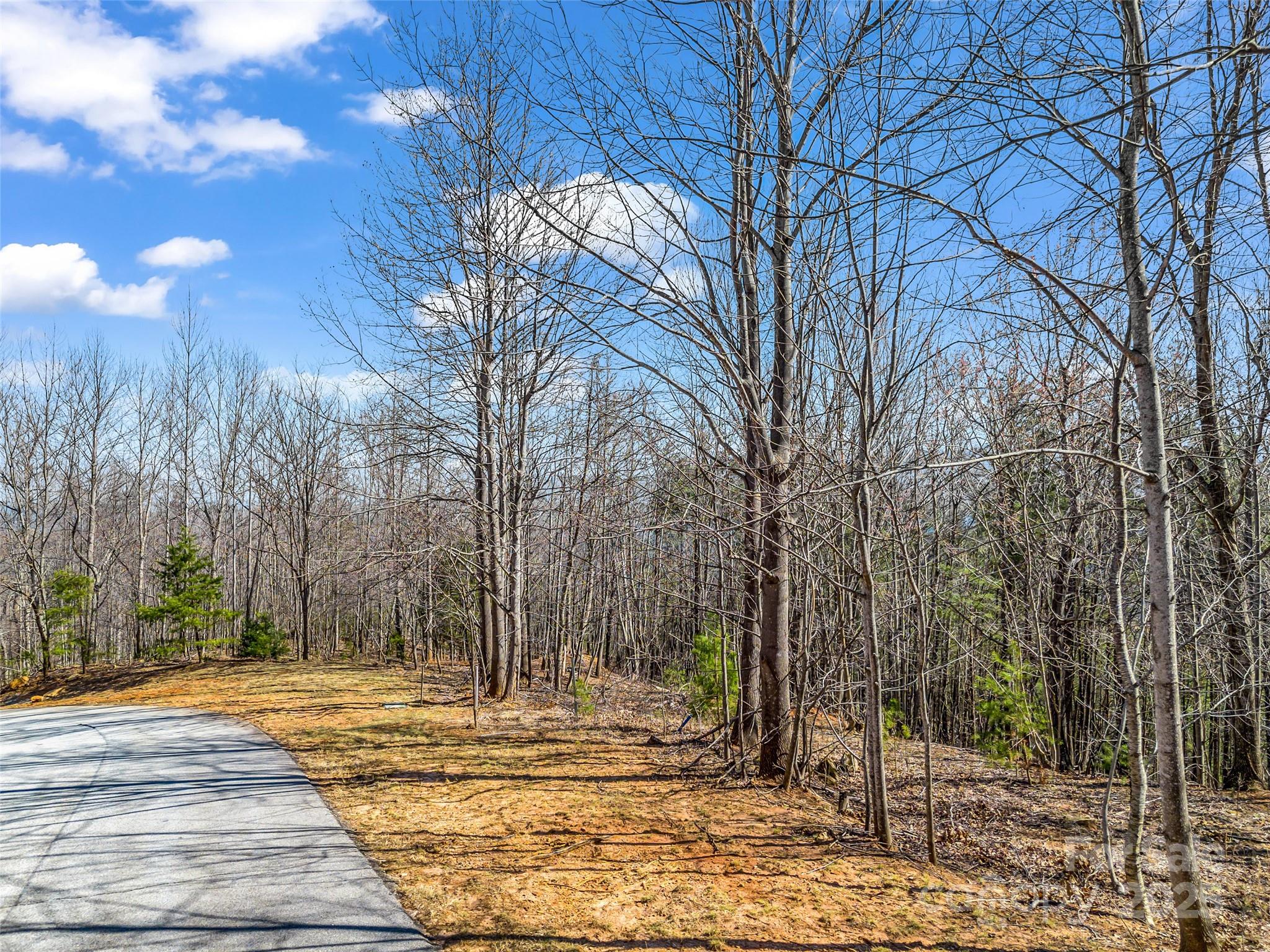190 Cherry Hill, Unit NONE Mill Spring, NC 28756 - Photo 9 of 32 a view of a yard with trees