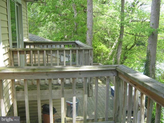 12981 Ridgely Road Greensboro, MD 21639 - Photo 10 of 26 Exterior (Rear)