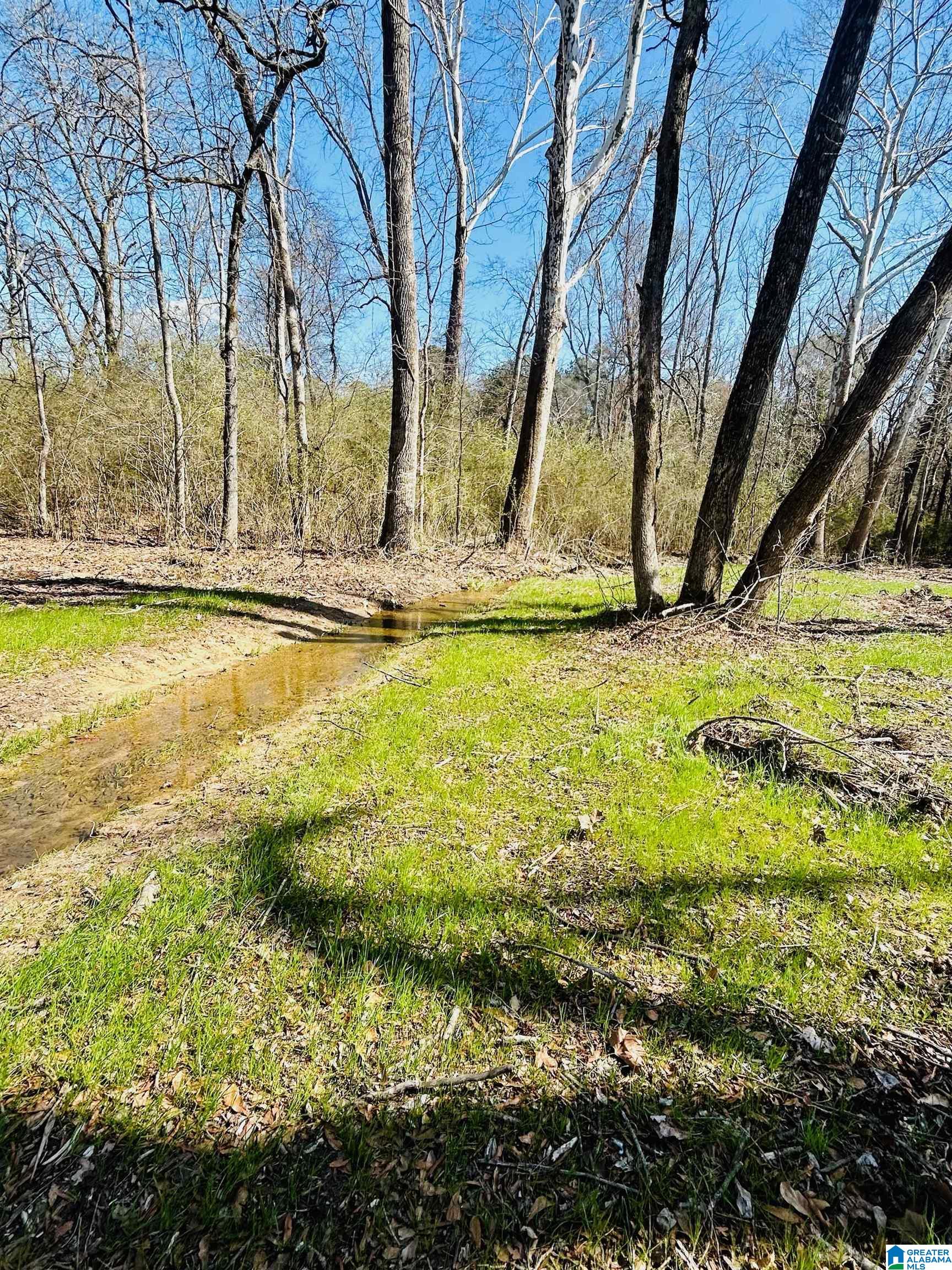 6357 Rocky Ford Road Gadsden, AL 35903 - Photo 15 of 18