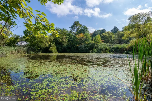 a view of outdoor space with deck and yard