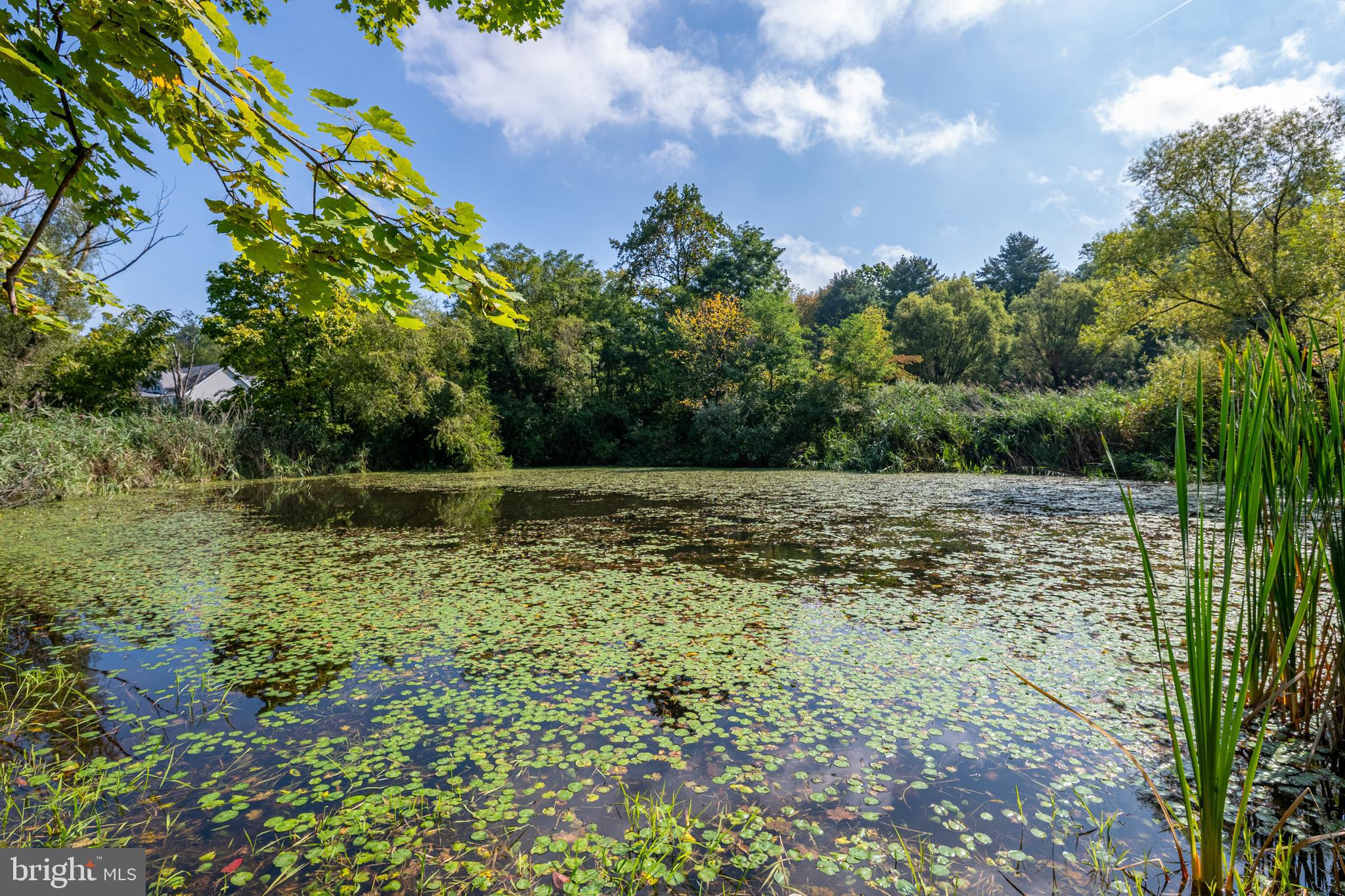700 Fabers Road Reading, PA 19606 - Photo 26 of 33 a view of outdoor space with deck and yard