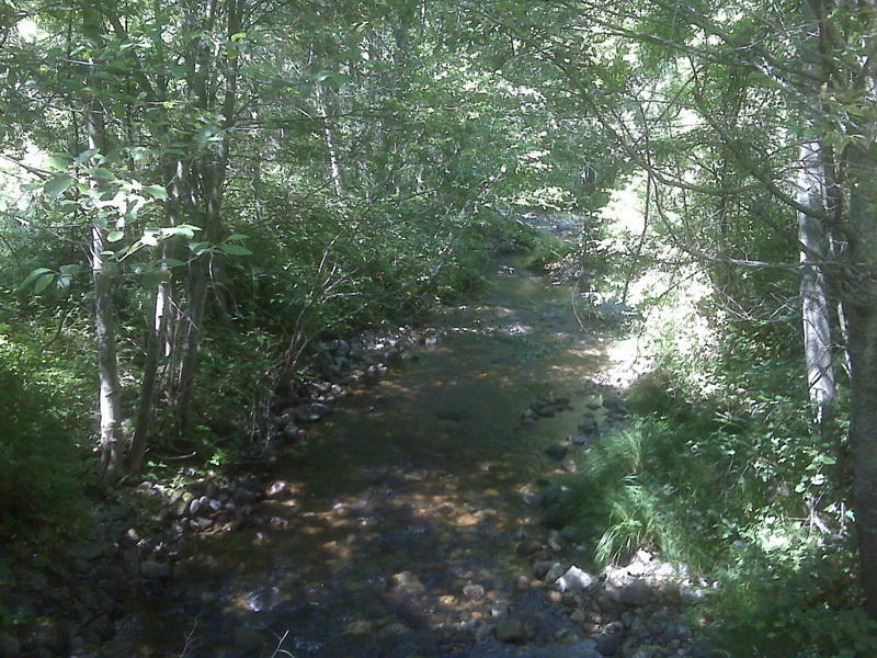 11953 East Fork Road French Gulch, CA 96033 - Photo 11 of 14 PROPERTY CREEK