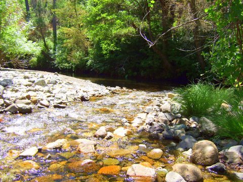 11953 East Fork Road French Gulch, CA 96033 - Photo 13 of 14 CREEKS