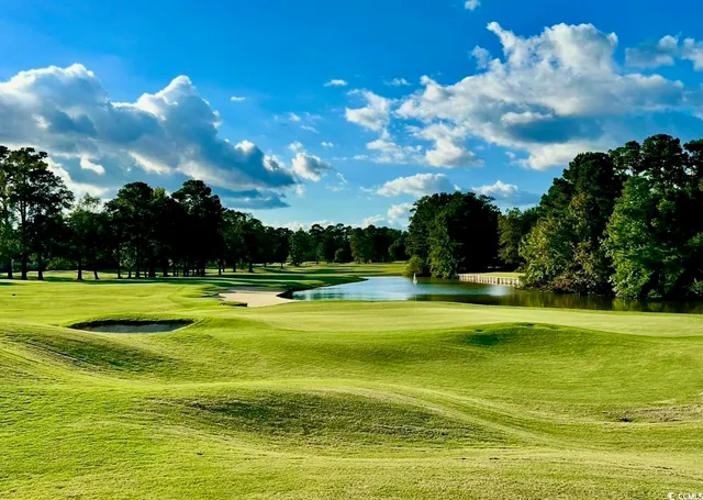 $389,900 | 1041 Bear Lake Drive, Longs, SC 29568