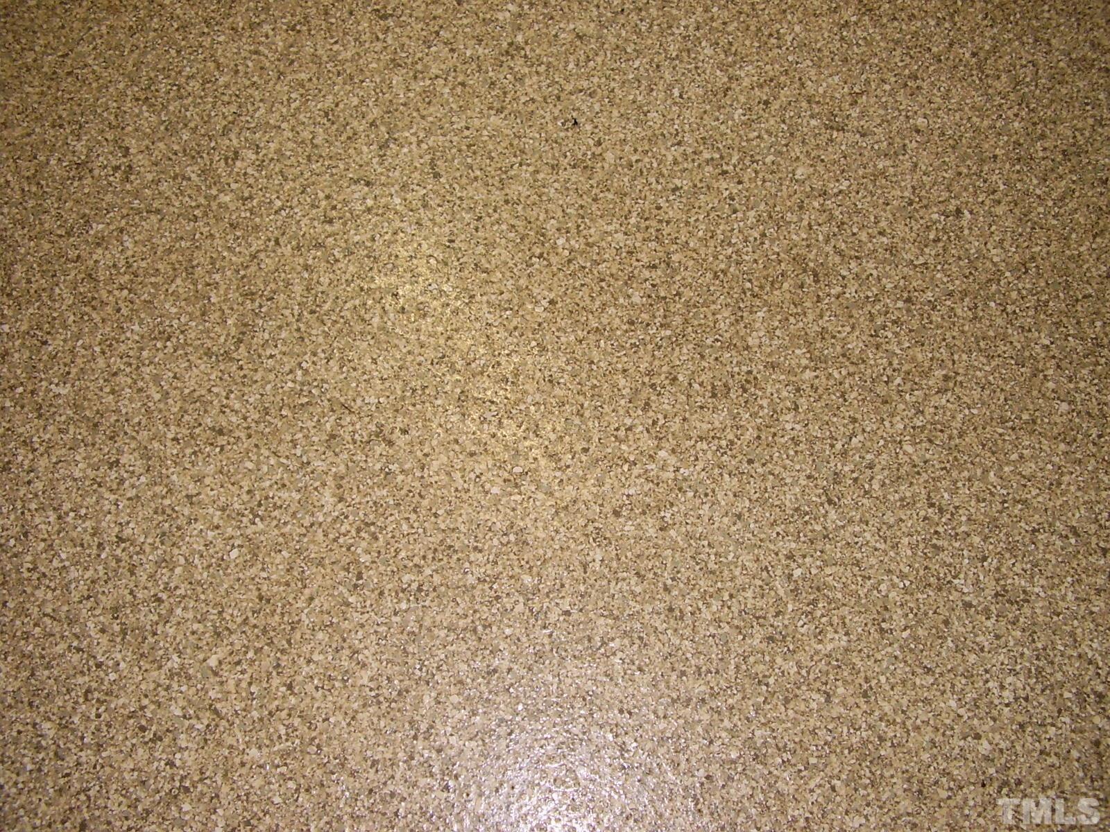 2306 Summer Shire Way Raleigh, NC 27604 - Photo 25 of 26 Photo #25