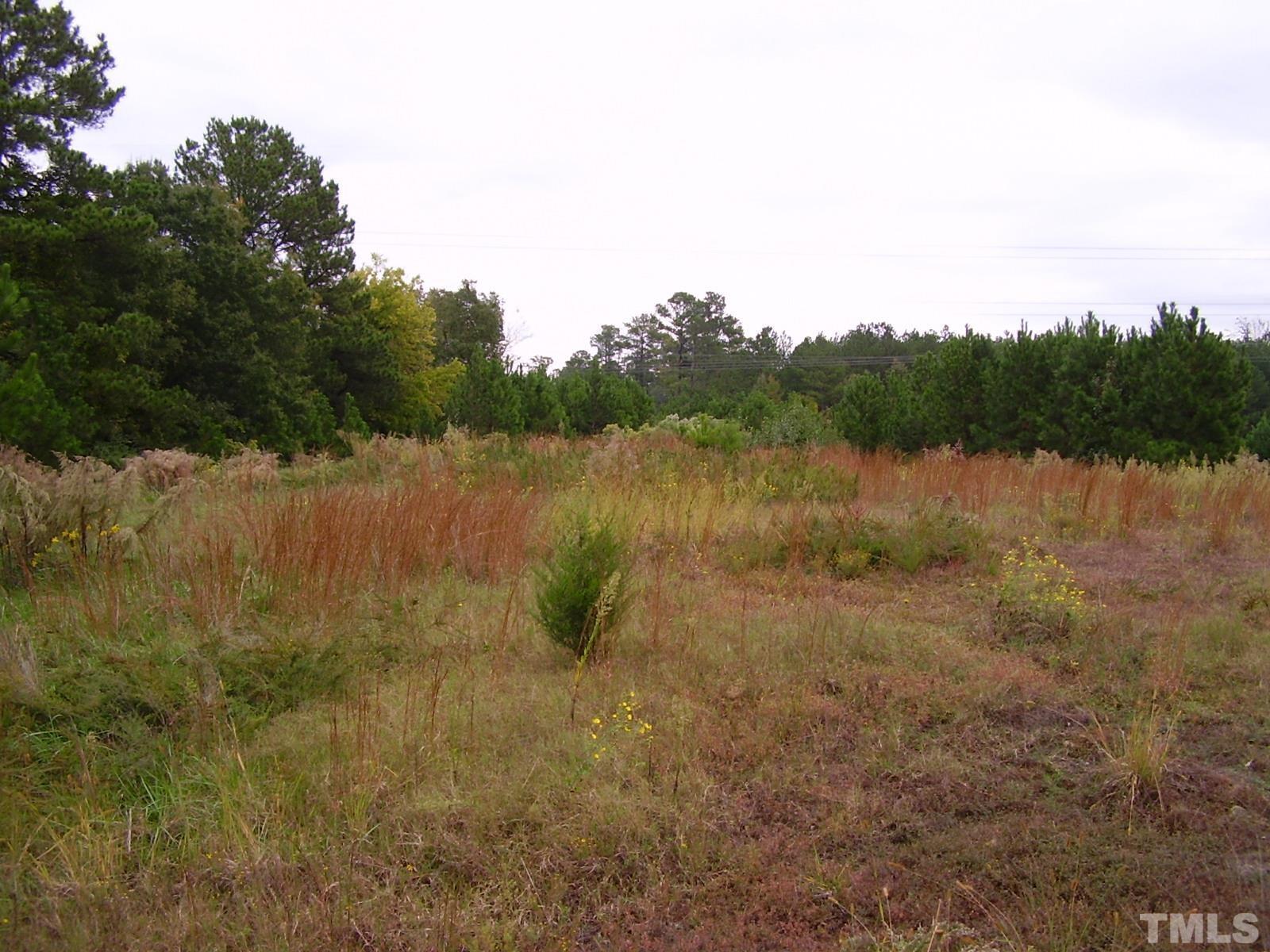 2306 Summer Shire Way Raleigh, NC 27604 - Photo 6 of 26 Photo #6