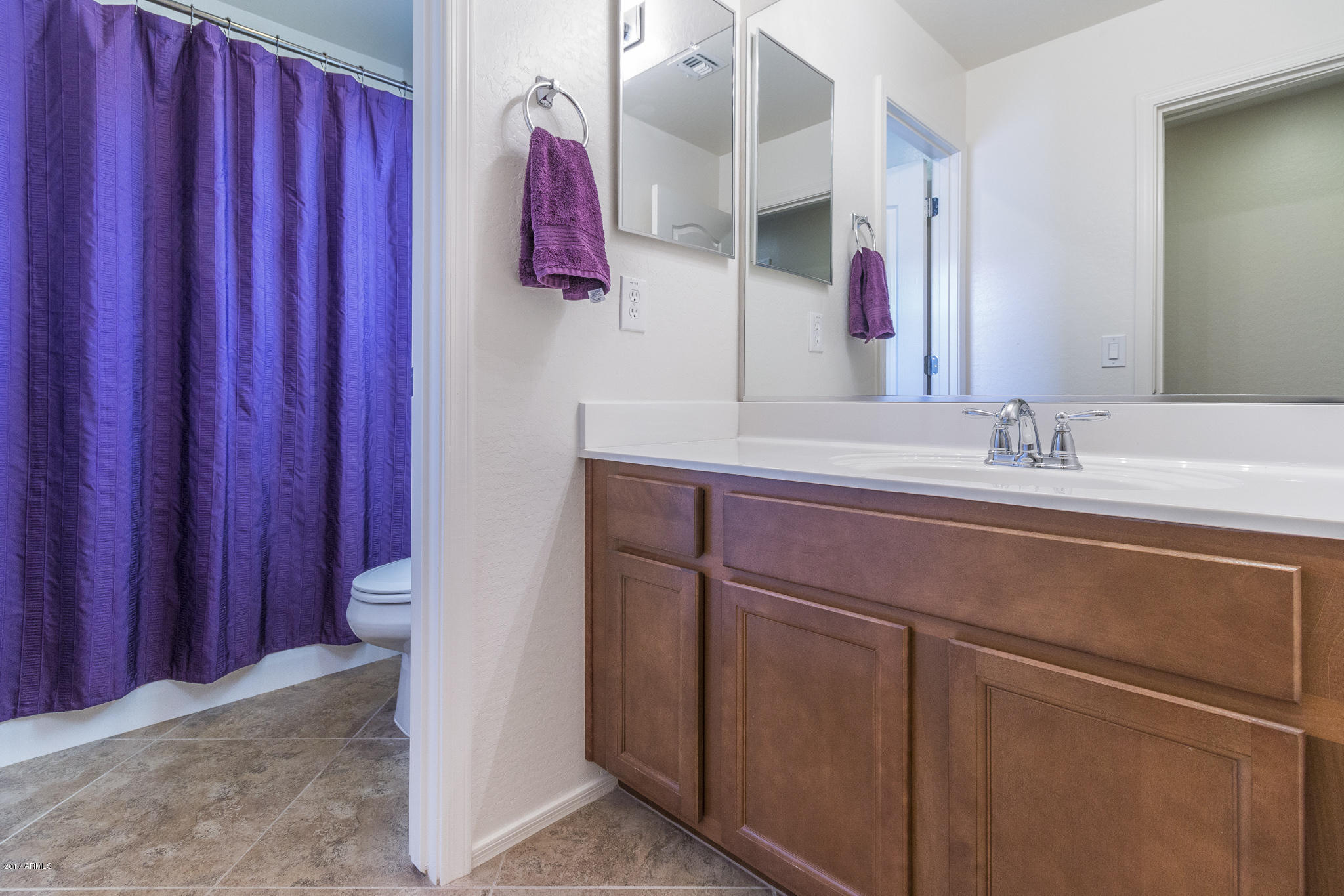 2091 South Martingale Road Gilbert, AZ 85295 - Photo 16 of 26 16) GUEST BATH