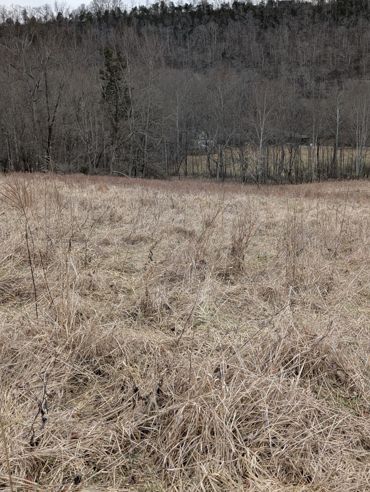 2654 Short Road Salvisa, KY 40372 - Photo 8 of 12 Lot #6