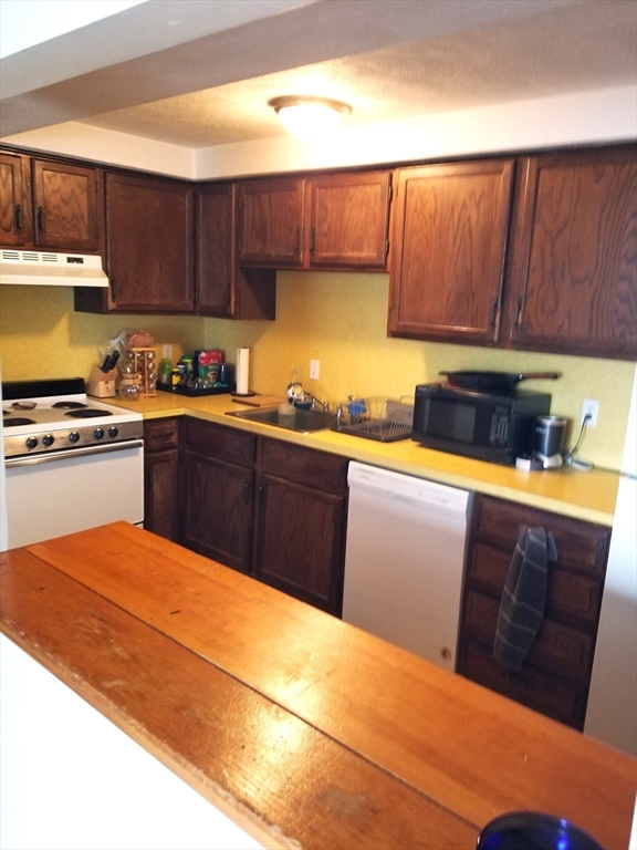 6 Prentiss Road, Unit 201 Arlington, MA 02476 - Photo 4 of 6