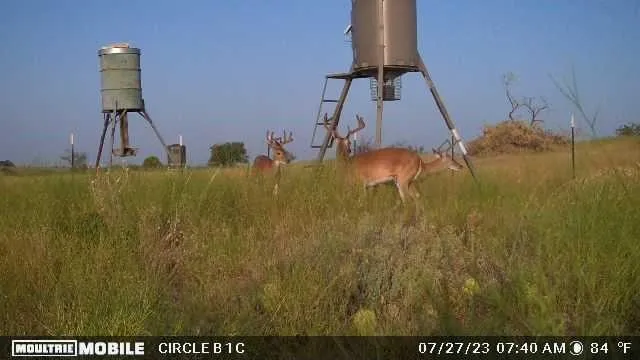 $125,000 | Lot 29 Comanche Hills Drive, Comanche, TX 76442