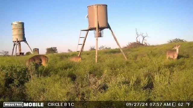 $125,000 | Lot 29 Comanche Hills Drive, Comanche, TX 76442