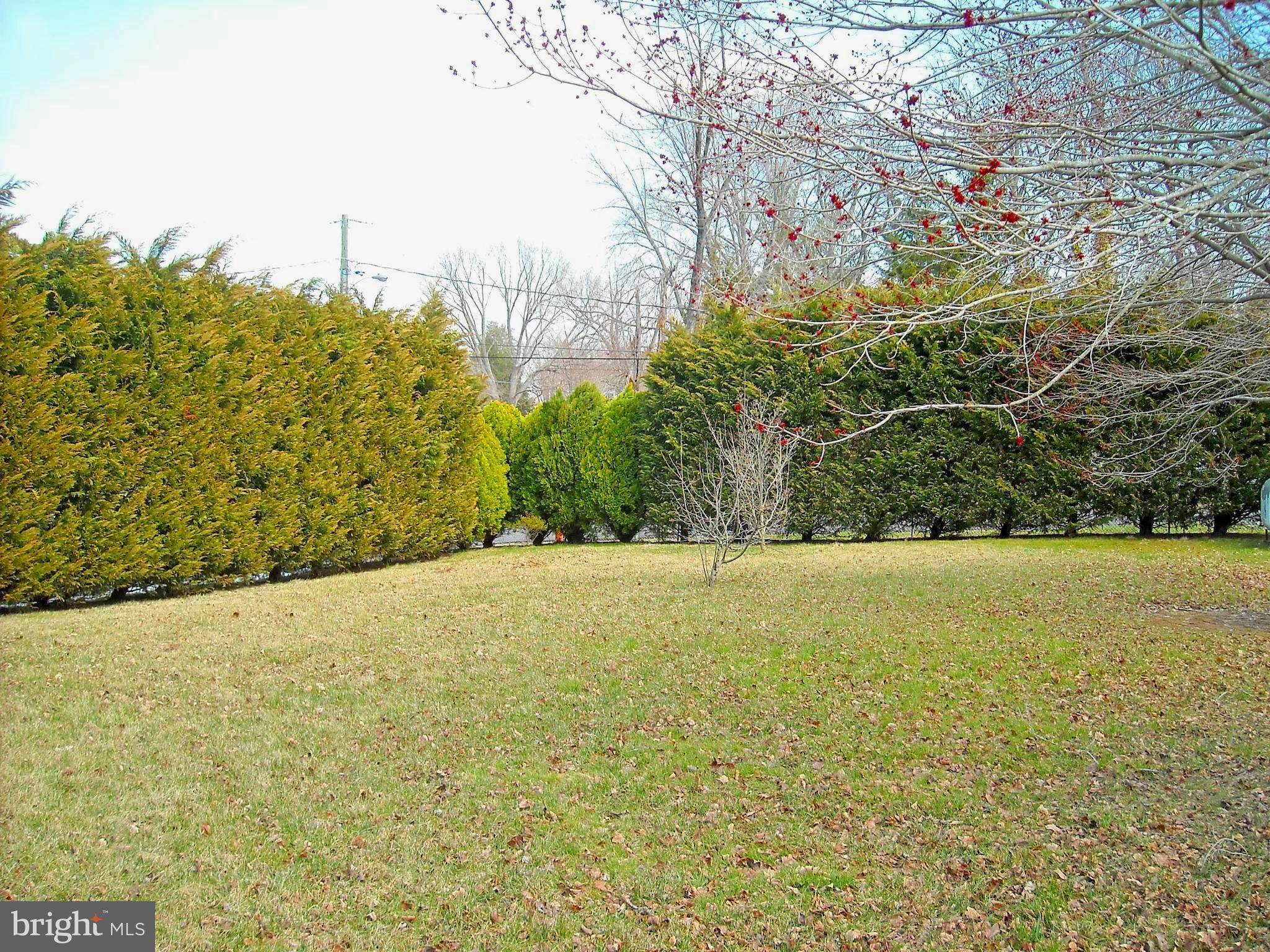 1005 Cedar Creek Road Baltimore, MD 21221 - Photo 28 of 30 Beautiful Yard with a Private Park Like Setting