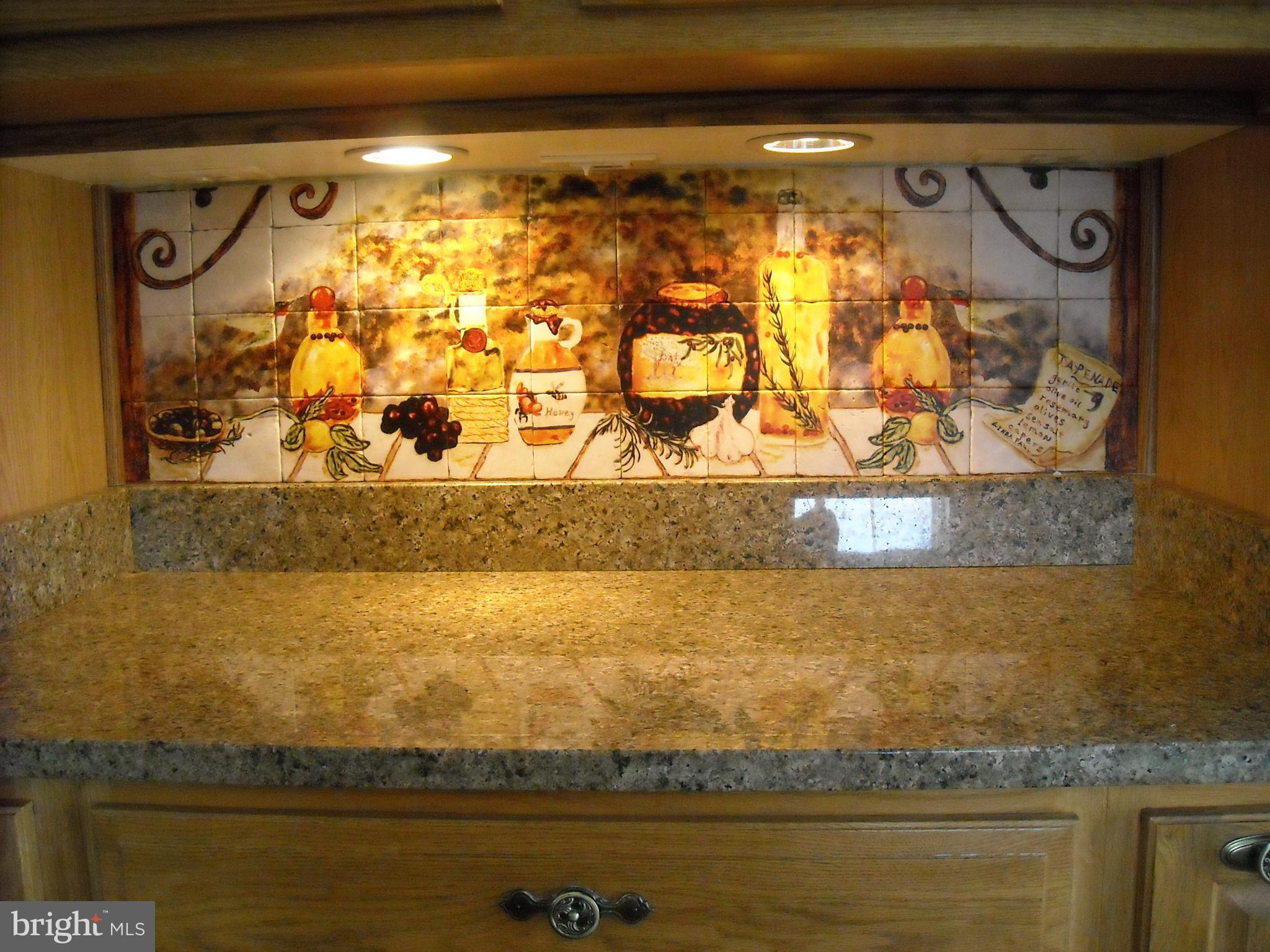1005 Cedar Creek Road Baltimore, MD 21221 - Photo 8 of 30 Beautiful Granite Counter-top with Tuscany Charm