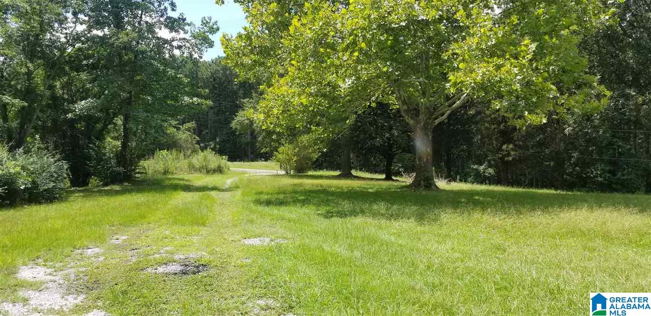 173 Beagle Club Road, Unit 1 2 Empire, AL 35063 - Photo 4 of 20