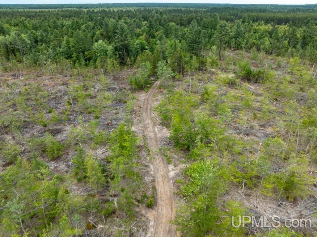 Tbd Off Co Rd 450 Road Seney, MI 49883 - Photo 10 of 13