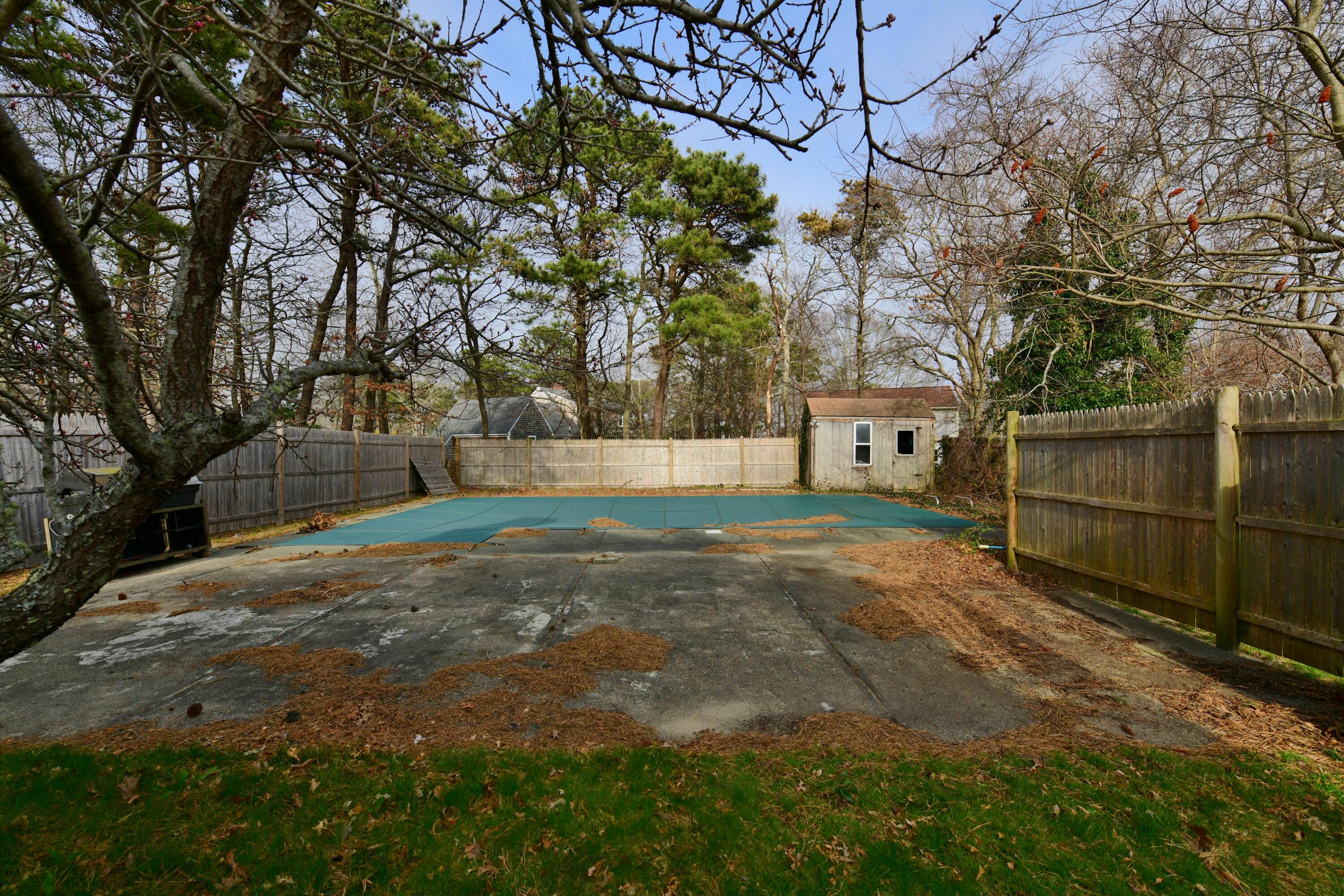 65 Siasconset Drive Sagamore Beach, MA 02562 - Photo 45 of 53 a view of backyard with green space
