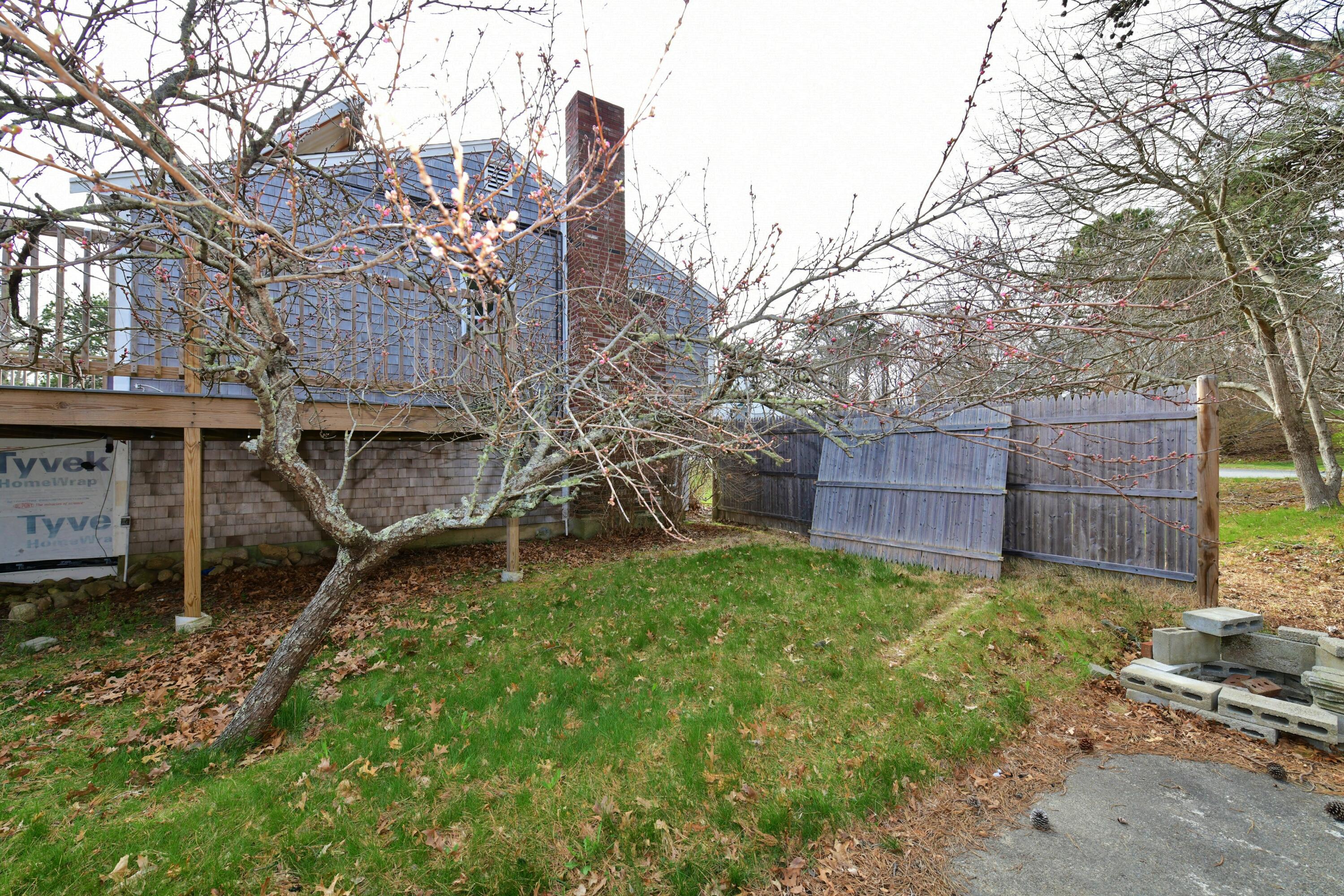 65 Siasconset Drive Sagamore Beach, MA 02562 - Photo 48 of 53 a backyard of a house with lots of green space