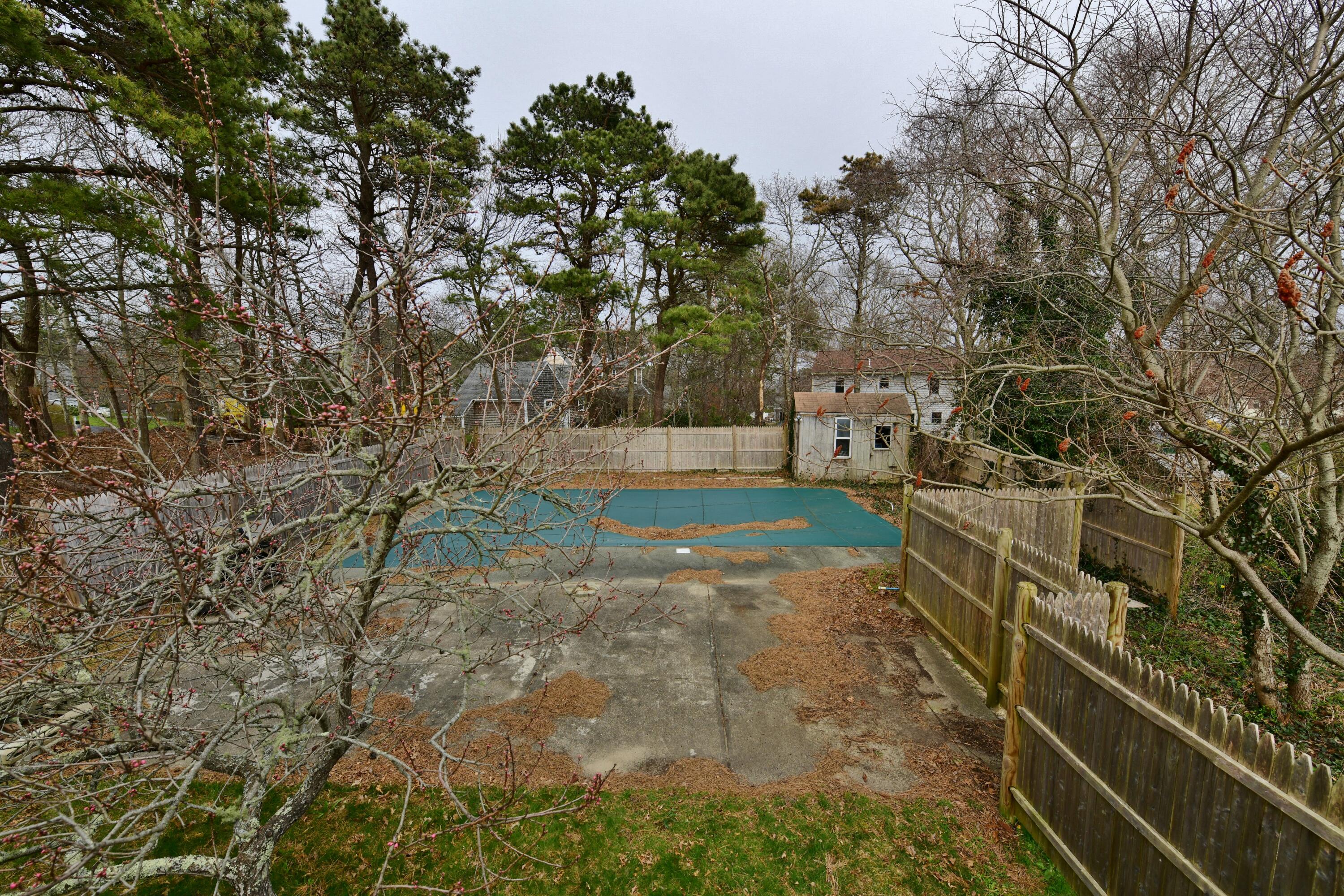 65 Siasconset Drive Sagamore Beach, MA 02562 - Photo 52 of 53 a view of a yard with plants and trees
