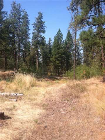 4606 West Cameron Road Cheney, WA 99004 - Photo 8 of 9