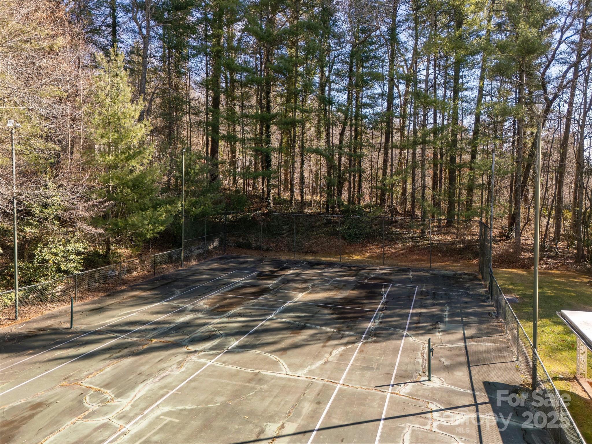 2640 Haywood Road Hendersonville, NC 28791 - Photo 37 of 41 a view of a yard with plants and trees