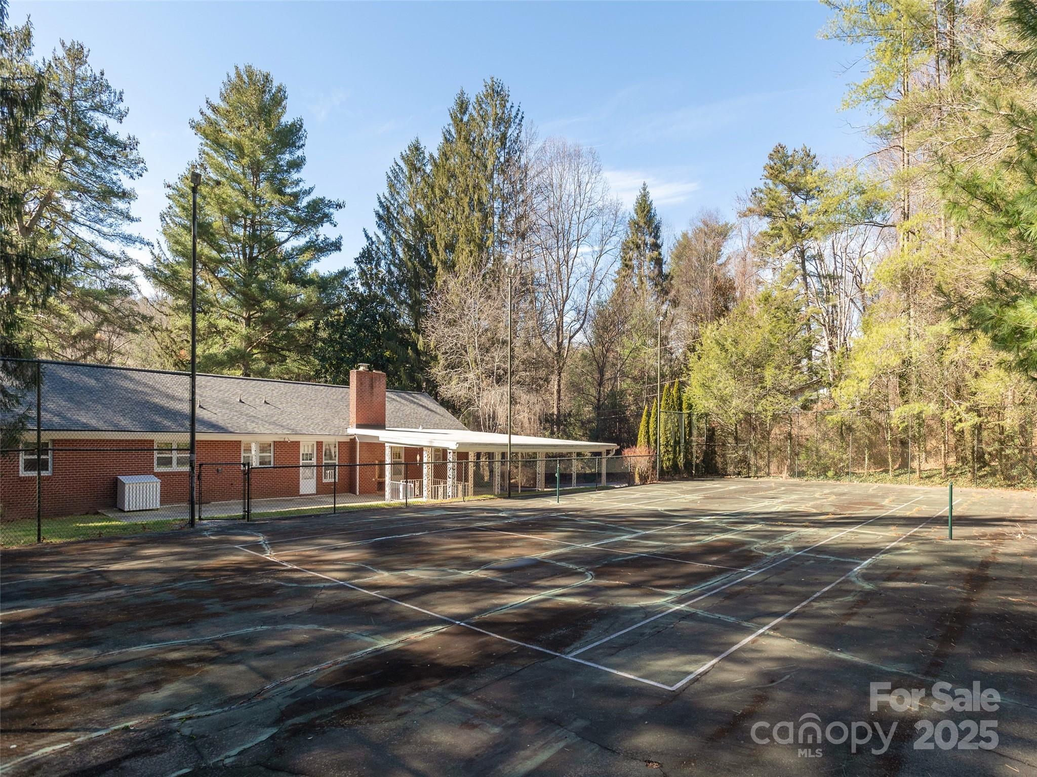 2640 Haywood Road Hendersonville, NC 28791 - Photo 38 of 41 a view of a tall trees in a yard
