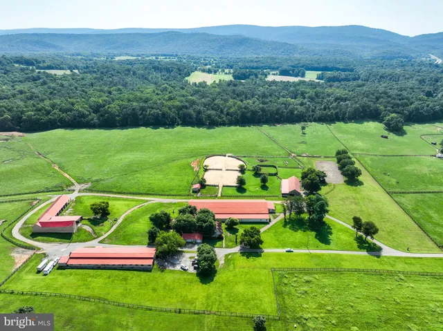a view of a table and chairs in the garden