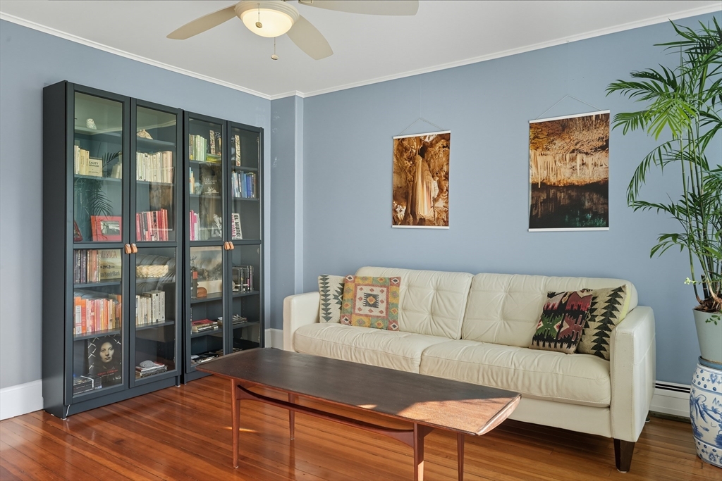 5 Grant Street, Unit 5 Easthampton, MA 01027 - Photo 10 of 36 a living room with furniture and a potted plant