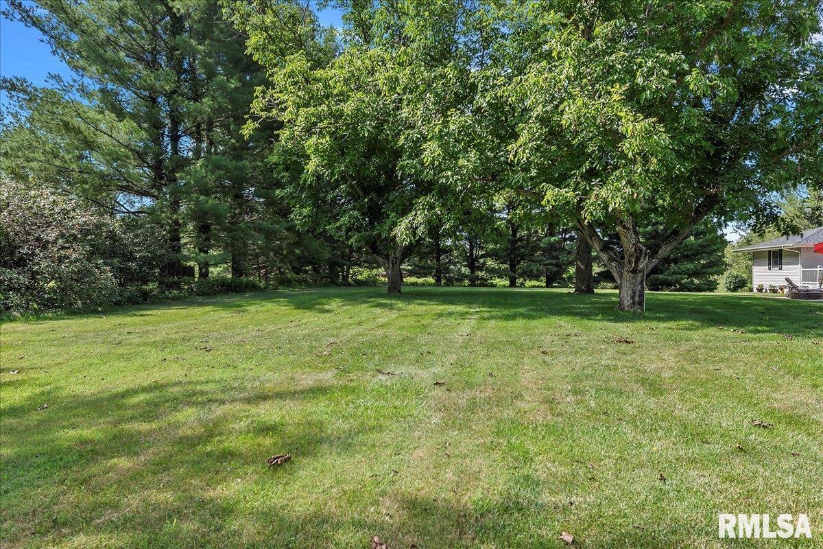 5356 Cockrell Lane Springfield, IL 62711 - Photo 37 of 52