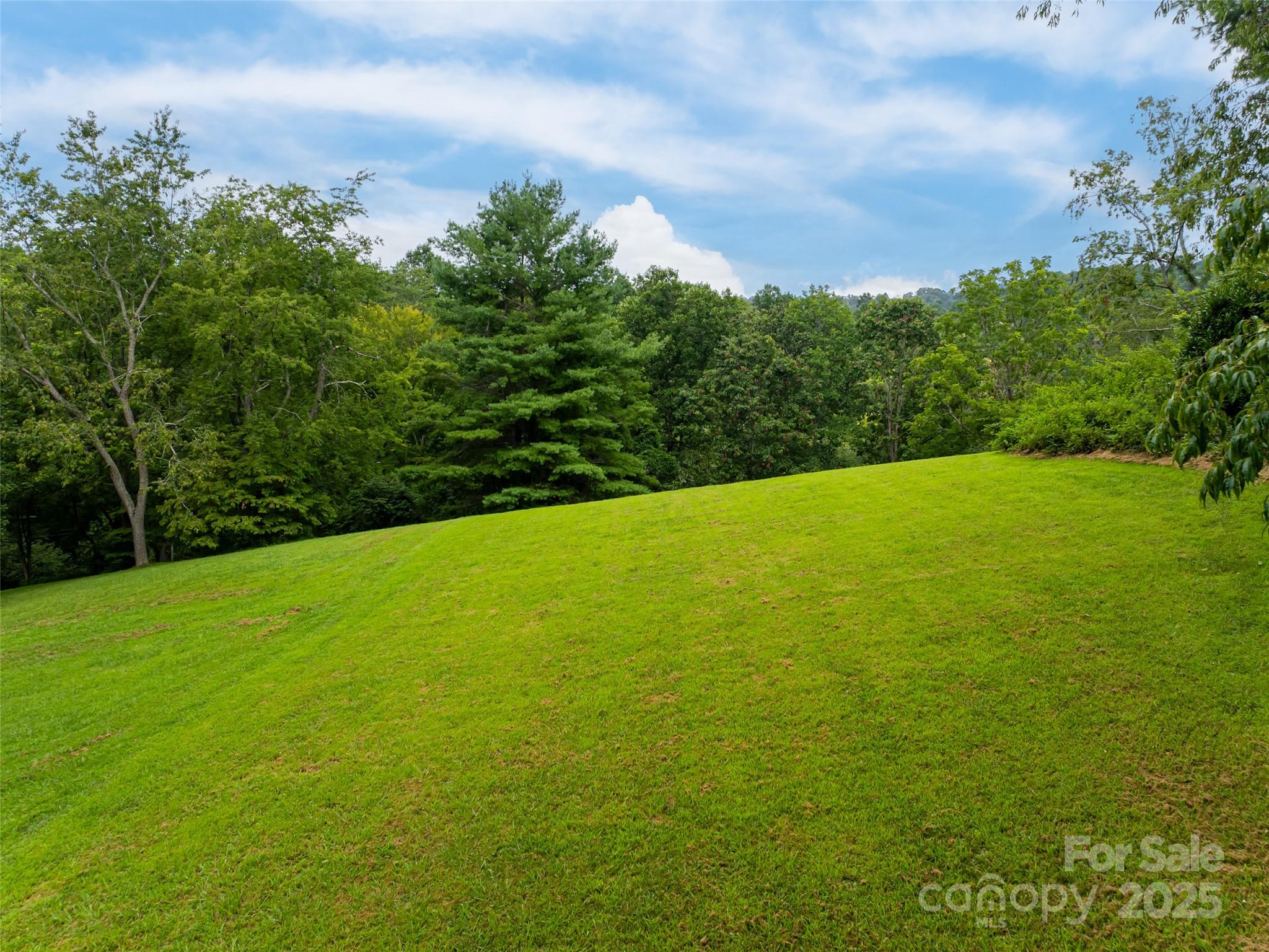 91 Carter Cove Road Asheville, NC 28804 - Photo 46 of 48