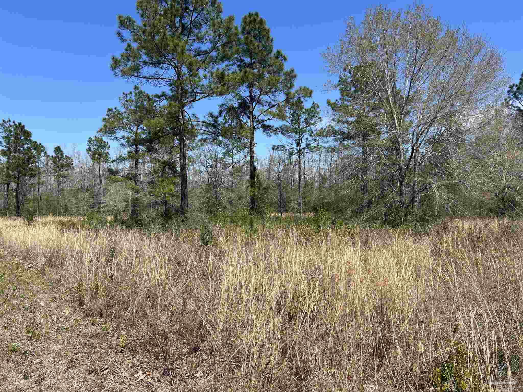 6828 Tranquility Trail Pace, FL 32571 - Photo 2 of 5