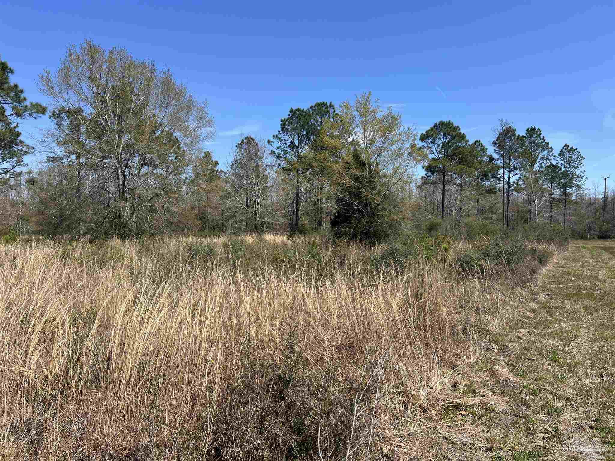 6828 Tranquility Trail Pace, FL 32571 - Photo 3 of 5