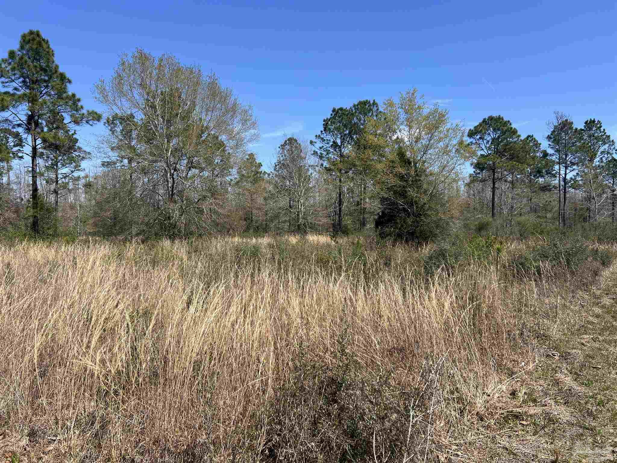 6828 Tranquility Trail Pace, FL 32571 - Photo 4 of 5