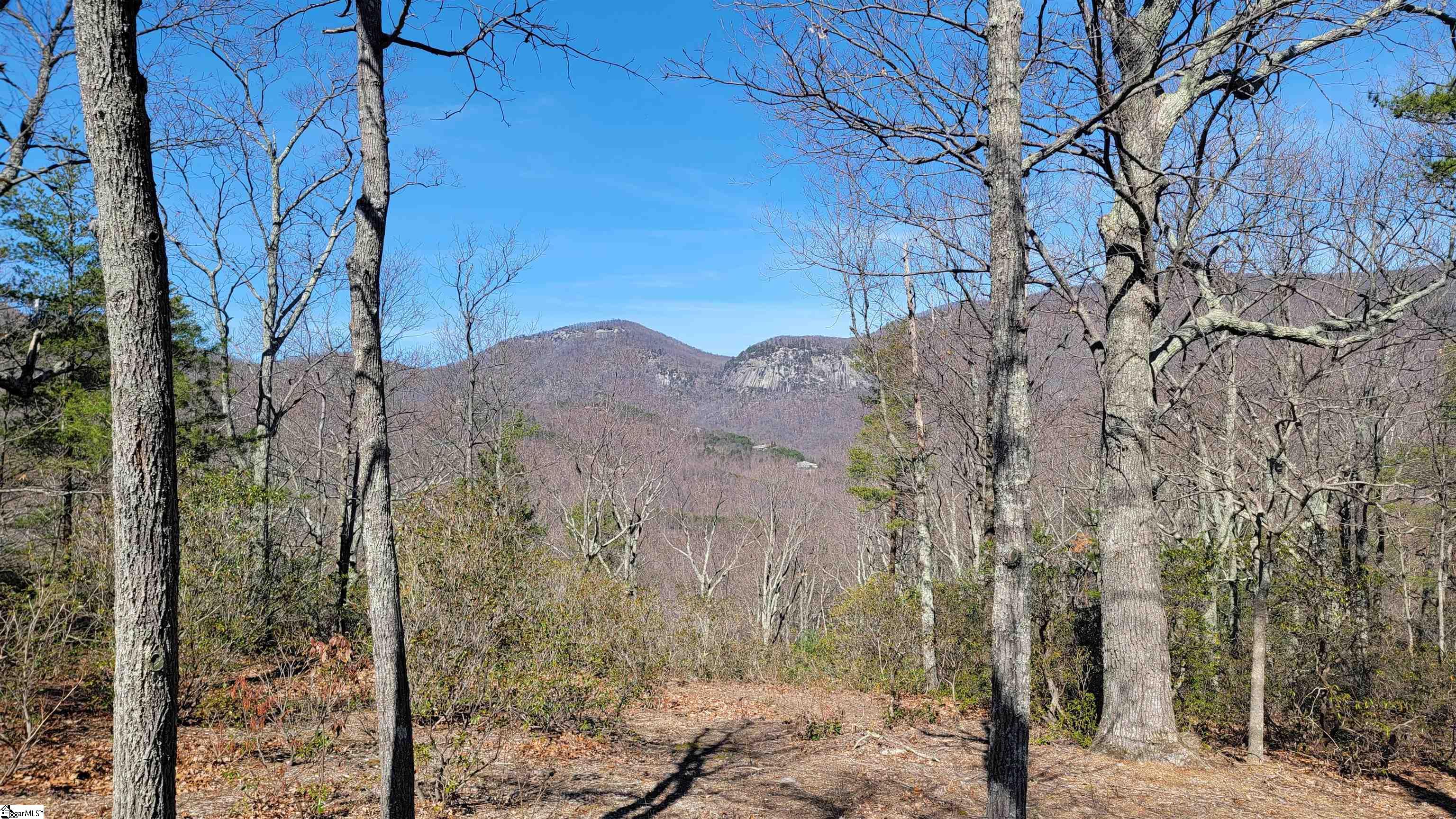 107 Round Top Lane Landrum, SC 29356 - Photo 2 of 6