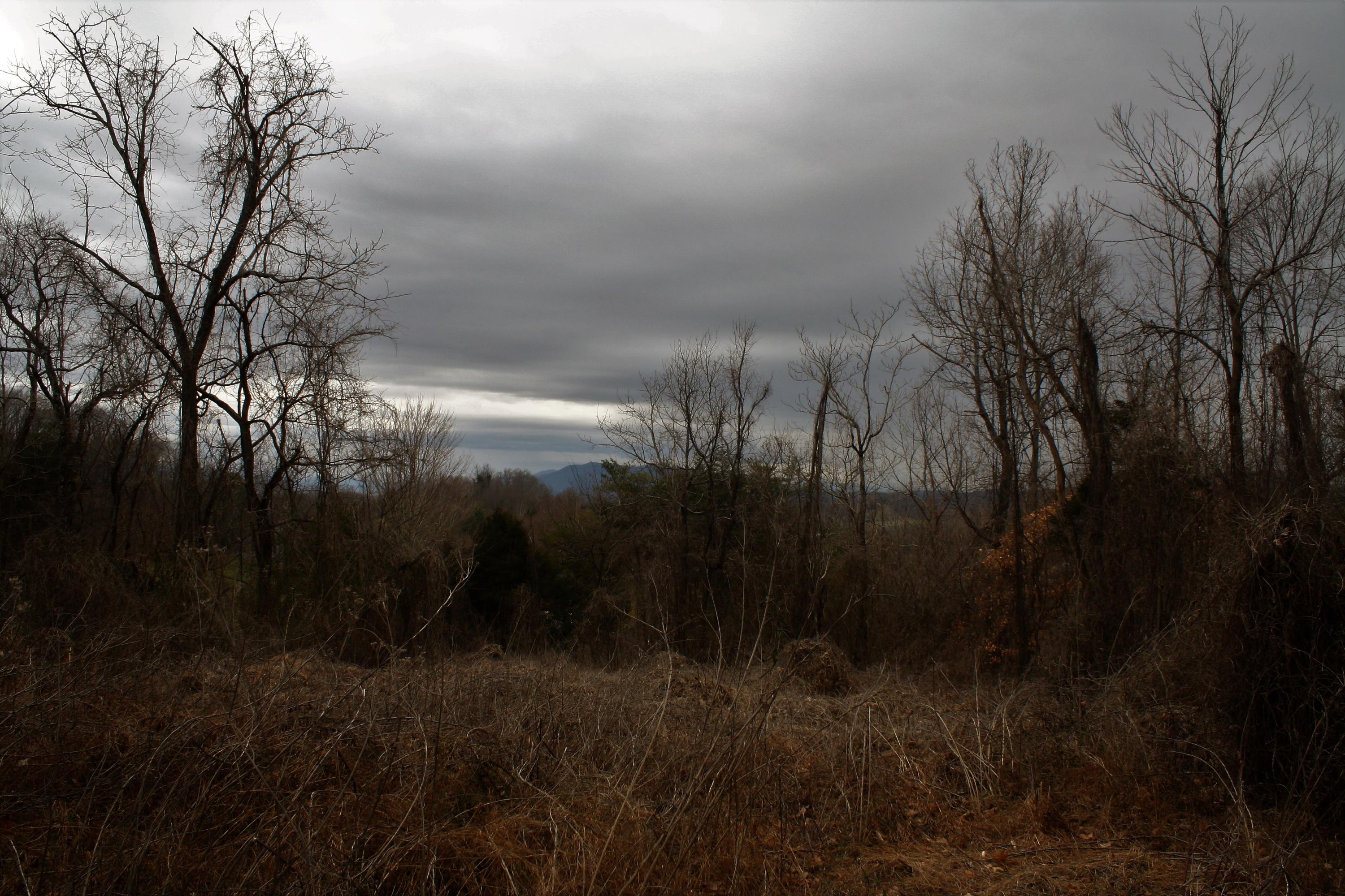 0 Old Watauga Road Watauga, TN 37694 - Photo 14 of 29 IMG_4373