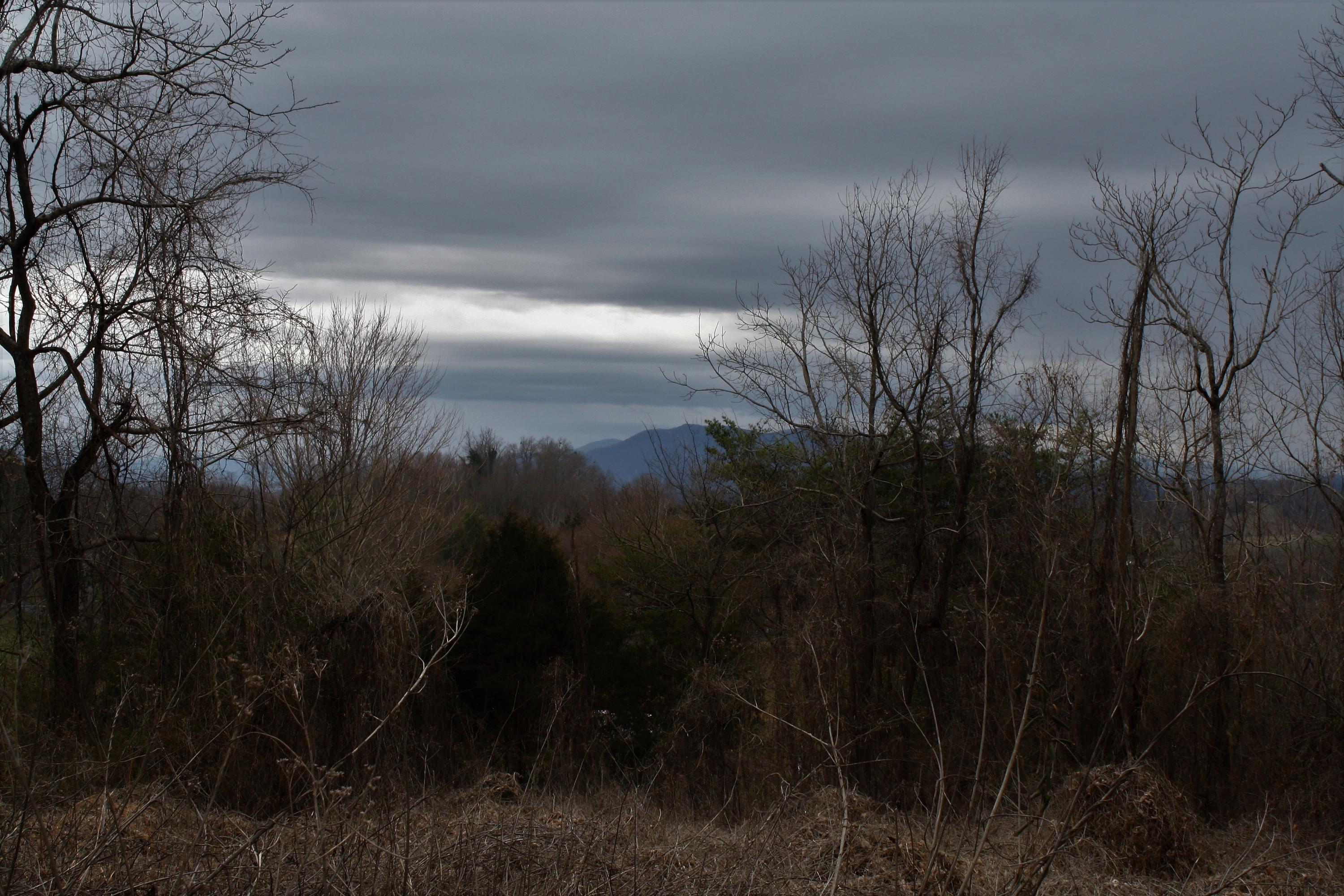 0 Old Watauga Road Watauga, TN 37694 - Photo 15 of 29 IMG_4375