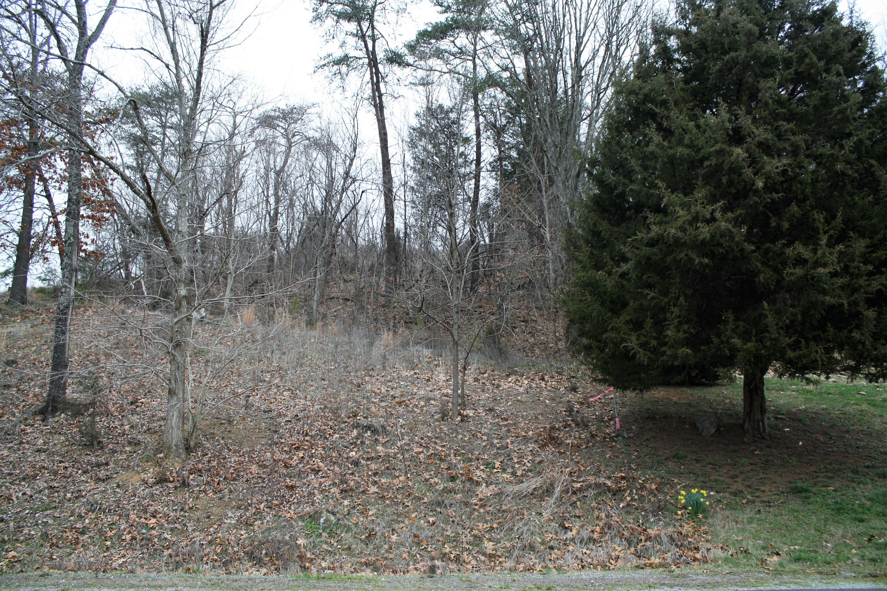 0 Old Watauga Road Watauga, TN 37694 - Photo 17 of 29 IMG_4398