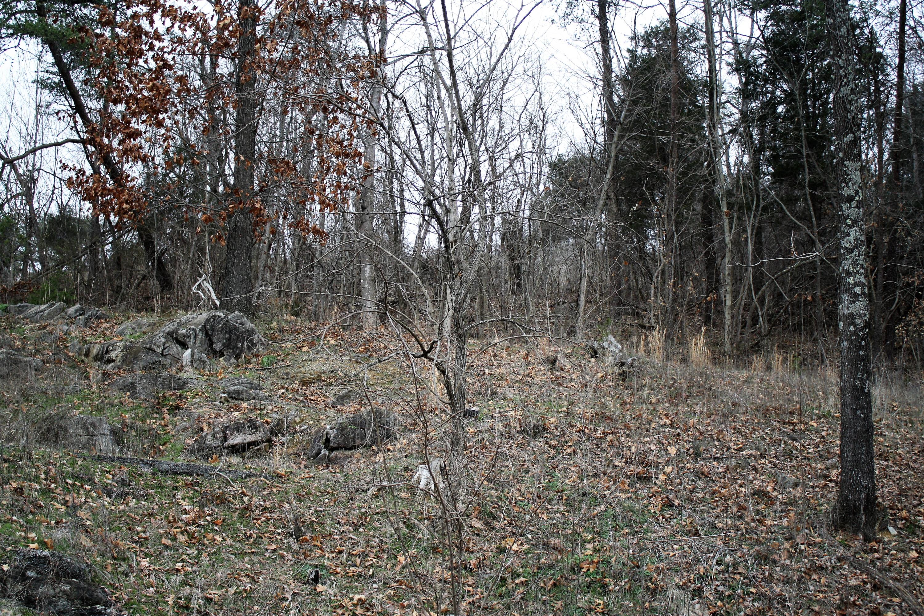 0 Old Watauga Road Watauga, TN 37694 - Photo 20 of 29 IMG_4338