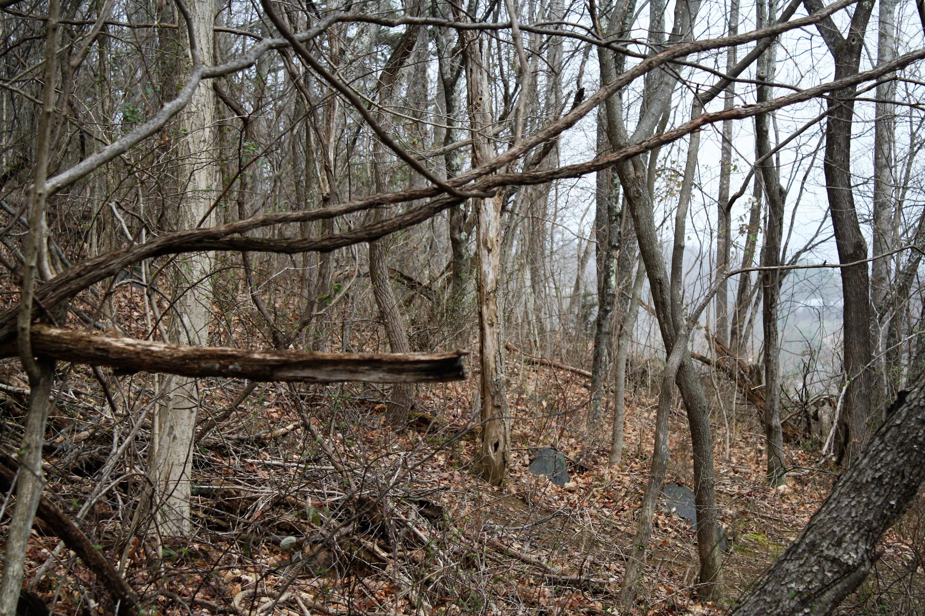 0 Old Watauga Road Watauga, TN 37694 - Photo 21 of 29 IMG_4342