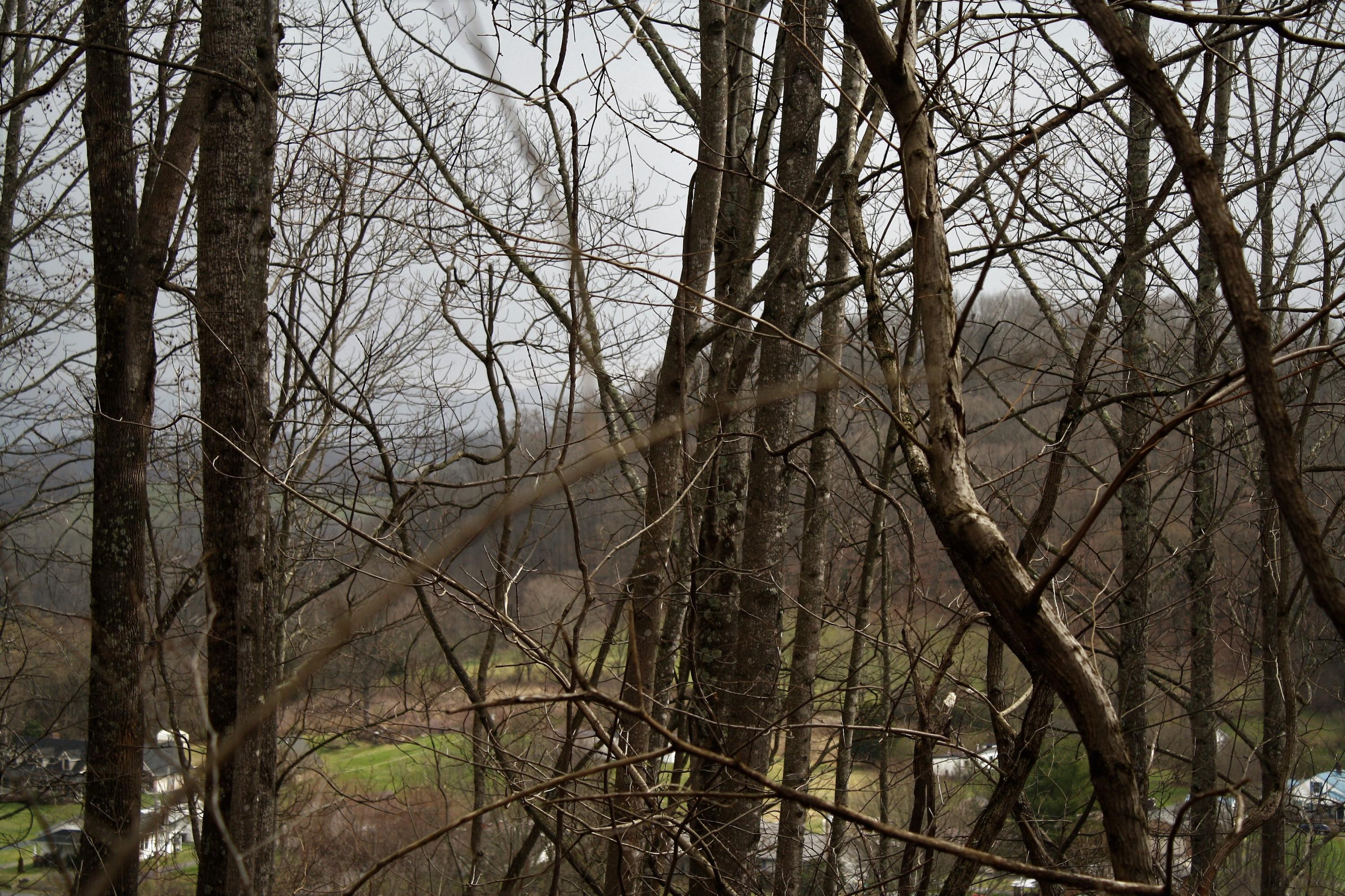 0 Old Watauga Road Watauga, TN 37694 - Photo 25 of 29 IMG_4355